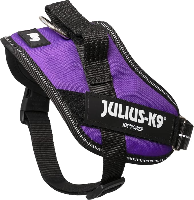 Julius-K9 IDC Powerharness, Size: S/Mini, Dark Purple