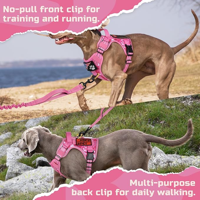rabbitgoo Tactical Dog Harness for Large, No Pull Military Service Vest | Molle & Handle, Heavy Duty, Adjustable, Reflective Straps, Easy Control for Training Walking, Pink camo, Large