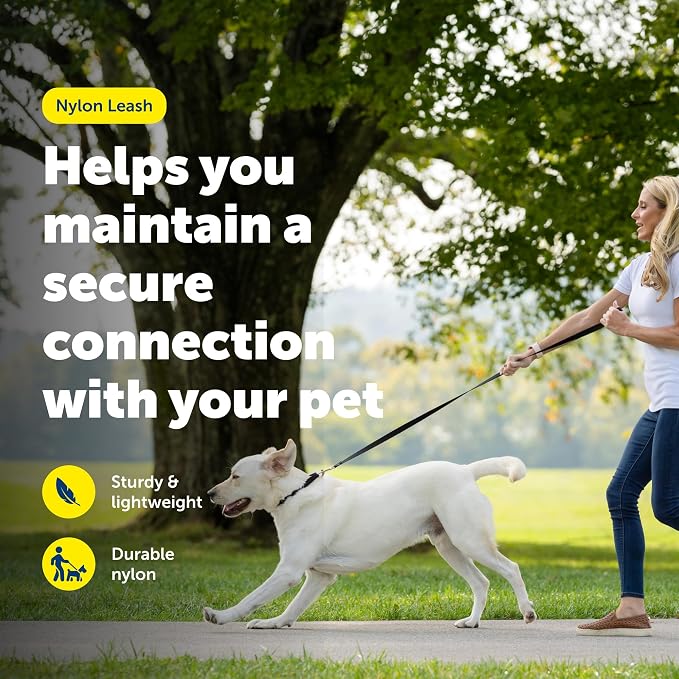PetSafe Nylon Dog Leash - Strong, Durable, Traditional Style Leash with Easy to Use Bolt Snap - 3/8 in. x 6 ft., Royal Blue | Durable Nylon Leash with Easy on/off Bolt Snap Hook, Pairs Perfectly with Easy Walk Harness and Gentle Leader Headcollar