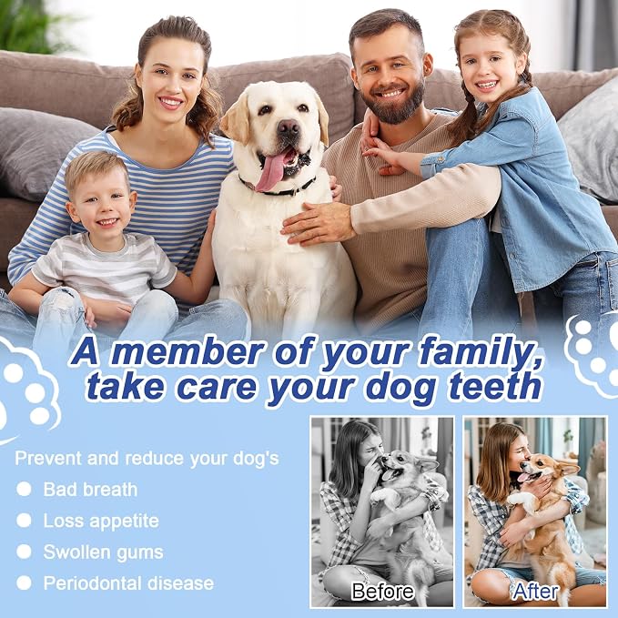 ETACCU Dog Plaque Remover for Teeth, Dog Plaque Remover Tool with LED Light, 5 Modes Teeth Cleaning Tools, Low Noise Pet Tooth Brushing Kit Dental Tools for Dog and Cat, White