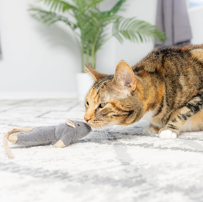 SPOT Flat Mouse Frankie with Catnip - Cat Toy, Fuzzy Mice with Catnip and Crinkle Sound, Perfect Size for Pouncing on, Chasing, Hunting - 5.5in Plush Toys, Assorted Colors (Pack of 2)