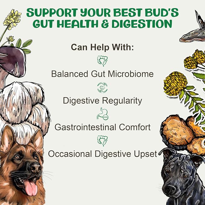 MycoDog Digest, Digestive Mushroom Supplement for Dogs for Healthy Poop