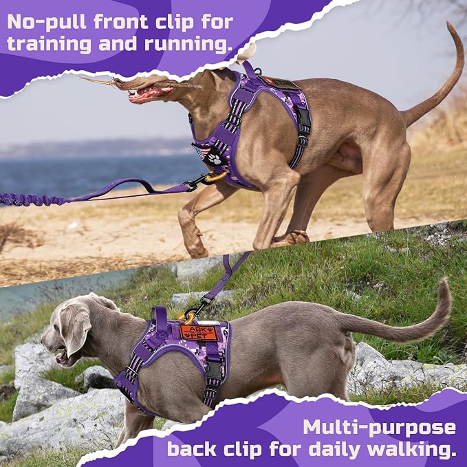 rabbitgoo Tactical Dog Harness for Medium, No Pull Military Service Vest | Molle & Handle, Heavy Duty, Adjustable, Reflective Straps, Easy Control for Training Walking, Purple Camo, Medium