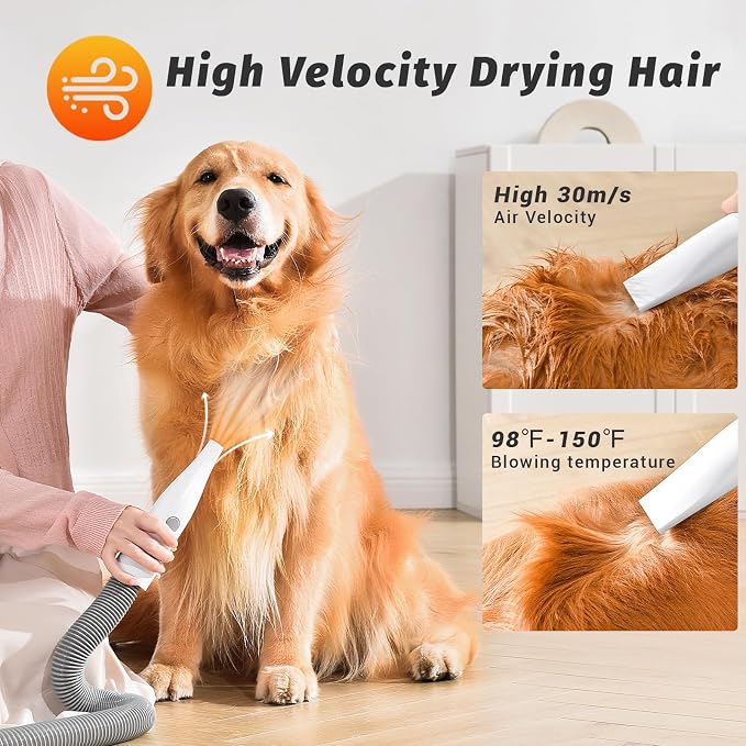 Dog Grooming Vacuum & Blow Dryer : 16000Pa Hair Suction, Dog Clipper, High Velocity Dog Blower with Heater, 8 Pet Grooming Vacuum kit, Gray