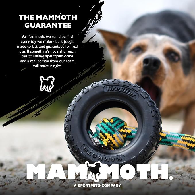 Chew King by Mammoth Large Premium Treater Dog Toy - Extremely Durable Natural Rubber Toy, Bacon Flavored Dog Treater, Dogs 25-50lbs - Orange