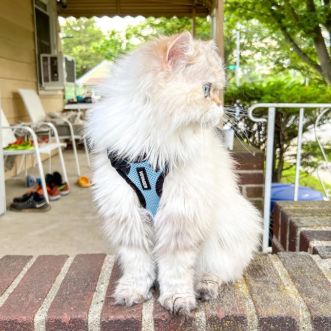 Best Pet Supplies Voyager Step-in Lock Pet Harness w Reflective Pet Leash Combo Set with Neoprene Handle 5ft - Supports Small, Medium and Large Breed Puppies/Cats - Baby Blue/Black Trim, XS