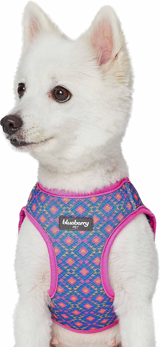 Blueberry Pet Southwestern Tribal Lozenges Navy Blue Dog Harness Vest, S, Adjustable Harnesses for Small Dogs