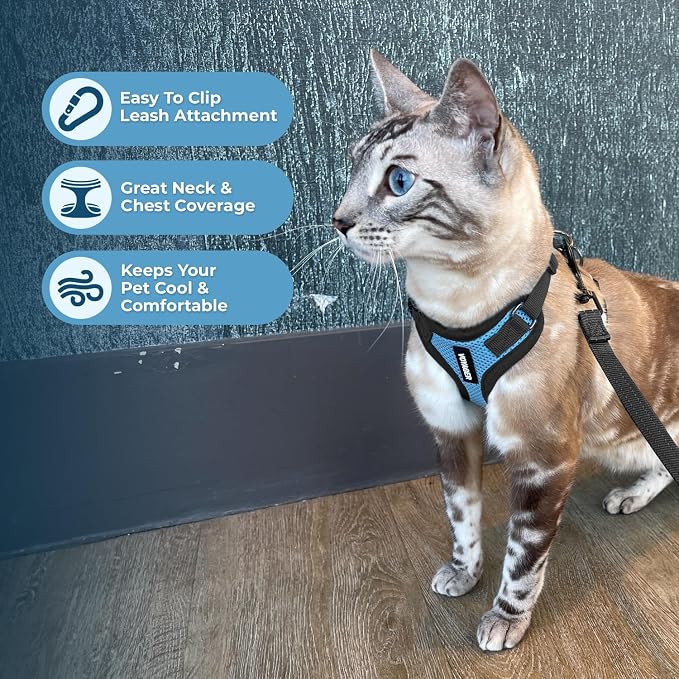Voyager Escape-Proof Step-in Lock Cat Harness & 5ft Neoprene-Handle Leash Set All-Weather Mesh with Reflective Stitching for Small to Large Cats by Best Pet Supplies, Baby Blue/Black Trim, XXXS