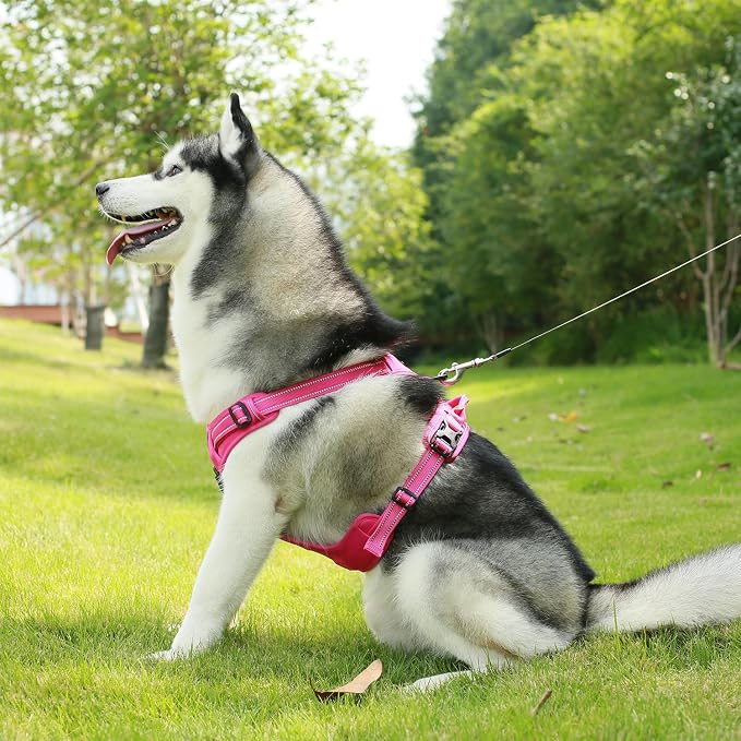 Voyager Dual Attachment No Pull Harness - Fuchsia, X-Large | 28 - 37" in Chest, No Pull Dog Harness, Fully Adjustable, 3M Reflective Technology, Front & Back D-Rings, Walking & Training