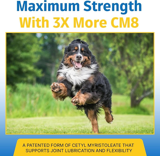 Hip & Joint Supplement for Dogs & Cats with Cetyl Myristoleate, Glucosamine, Collagen, MSM - Max Strength Joint Support for Mobility, Senior Pets, Large Breeds - 180 Soft Chews (Bacon/Cheese)