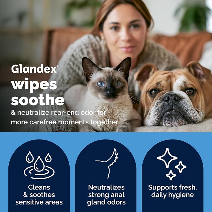 Glandex Vetnique for Dogs 5.5oz Beef Liver Powder Fiber Supplement Hygienic Wipes 75ct Bundle