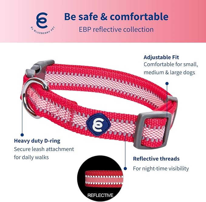 Blueberry Pet Essentials Pack of 2 Reflective Better Basics Adjustable Dog Collars, French Pink, Medium, Neck 14.5"-20"
