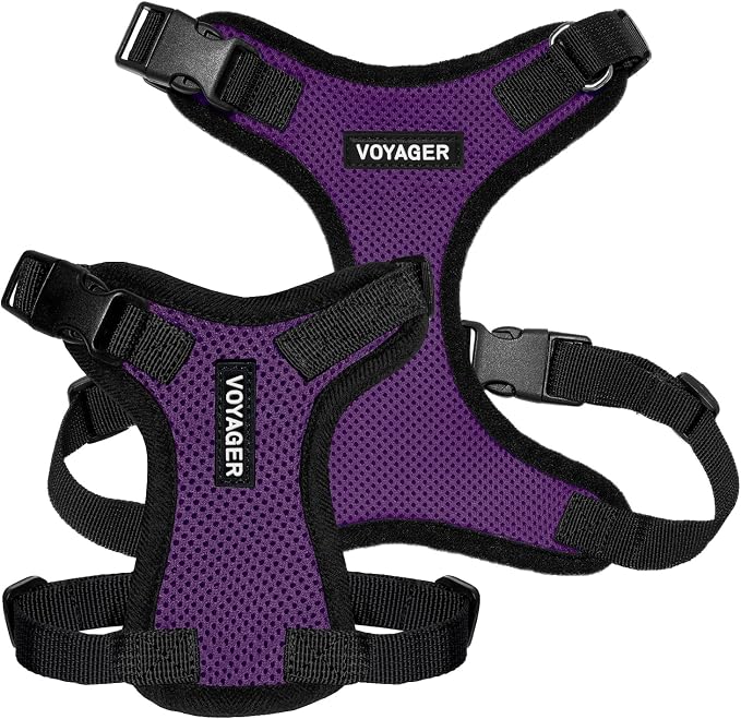Voyager Step-in Lock Dog Harness - Purple/Black Trim, Medium | 17 - 21" in Chest, Adjustable, Breathable Air Mesh, Lightweight for Daily Walks, Strong Clips, Heavy Duty D-Ring