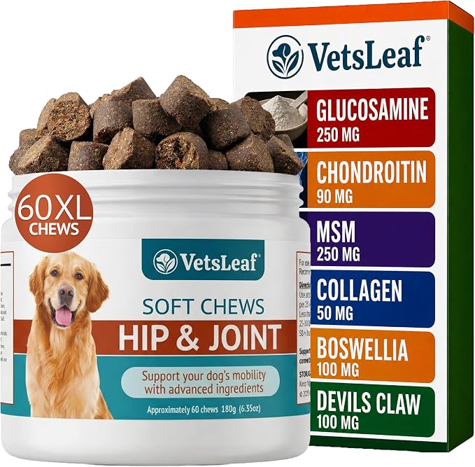 Hip and Joint Supplement for Dogs - Glucosamine, Chondroitin & MSM with Collagen, Boswellia & Devils Claw - 6g Per Chew - Made in USA - 60 Count