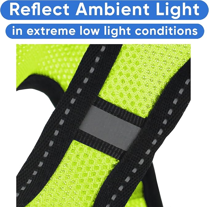 Pawtitas Dog Vest Harness Made with Breathable Air Mesh | All Weather Vest Harness for Extra Large Dogs with Quick-Release Buckle - Green Mesh Dog Harness for Training and Walking Your Pet.