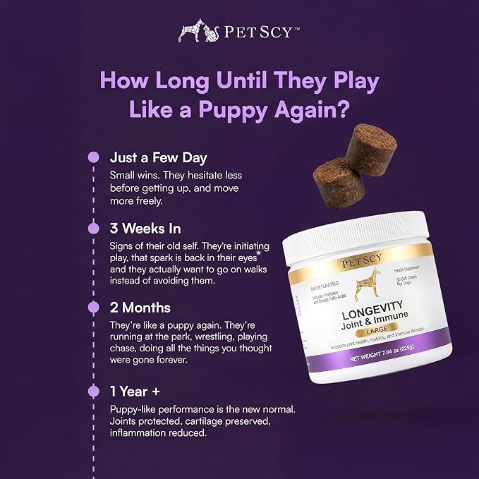 Petscy Longevity Hip & Joint + Immune Support for Dogs - Large (7.5g Chew) - High Dose Glucosamine, MSM, Chondroitin, Green Lipped Mussel, Omega 3, Probiotics - 30 Chews (Large Dogs)