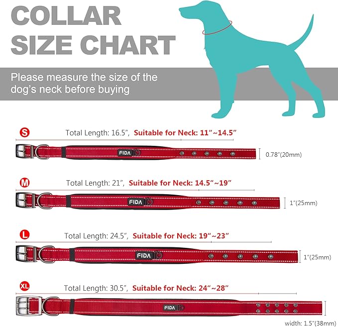 Fida Padded Dog Collar for Small Dogs with Metal Belt Buckle, Red | Soft Neoprene Padded for Extra Comfort, Durable Nylon Webbing, Adjustable Fit, Reflective Stitching for Night Safety