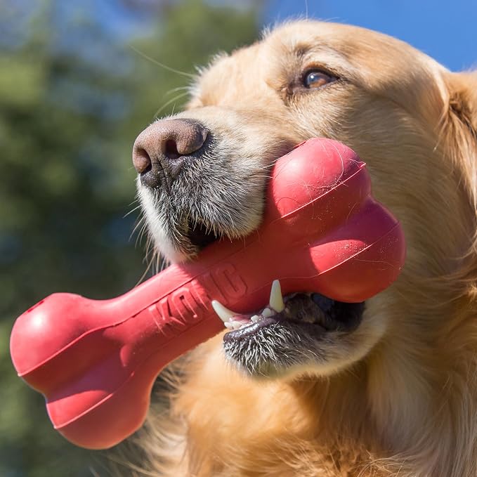 KONG Goodie Bone, Natural Rubber Treat-Dispensing Toy, Red, for Medium Dogs | Classic KONG Durable Natural Rubber Bone with Goodie Grippers That Hold Treats & Support Mental Engagement
