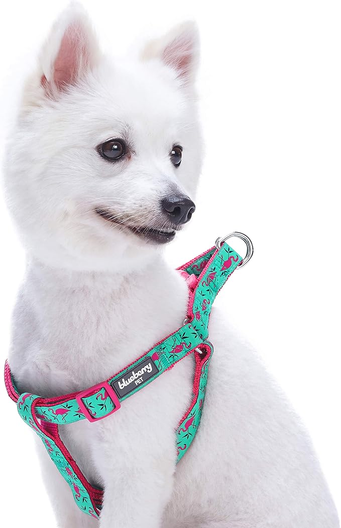 Blueberry Pet Essentials 2 Patterns Step-in Pink Flamingo on Light Emerald Dog Harness, Chest Girth 20" - 26", Medium, Adjustable Harnesses for Dogs