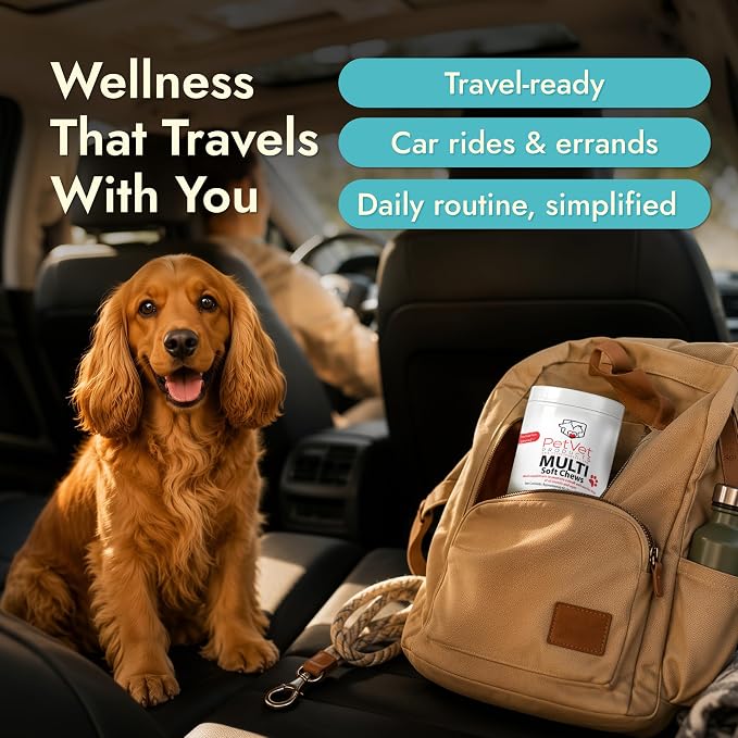 Pet Vet Multi Soft Chews for Dogs Beef Liver 60ct – 6-in-1 Support