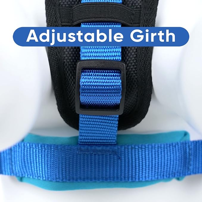 Pawtitas Reflective Padded Dog Harness for Large Dogs – Adjustable Step-in Vest | Fits Chest 27–33 in | No Pull Training Harness | L | Blue