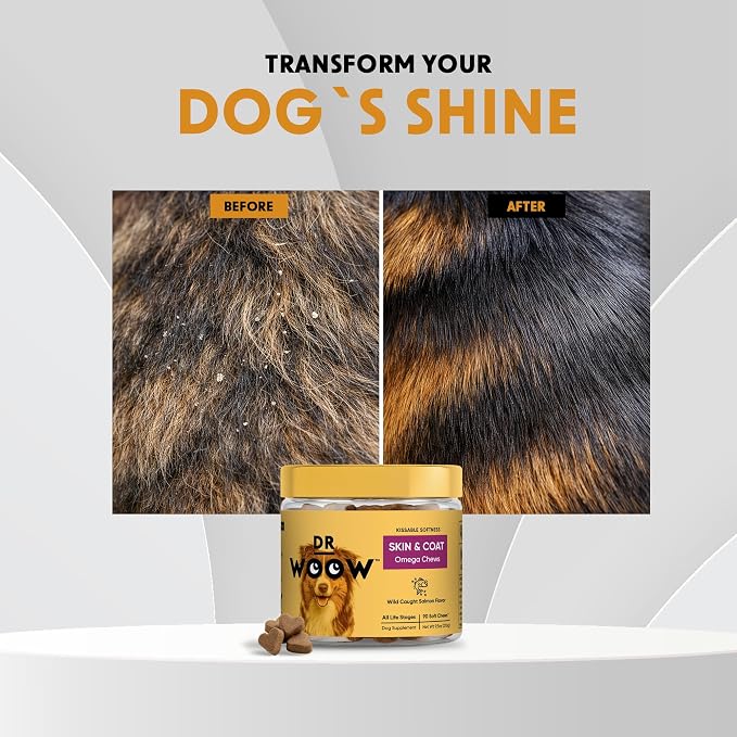 Omega 3 Supplements for Dogs Soft Chews (90 CT) – Skin & Coat Support + Itchy Skin Comfort – Wild Alaskan Salmon Oil + Biotin – Made in USA