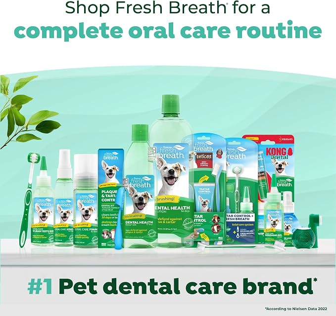 TropiClean Fresh Breath - Kong Dental Ball for Medium Dogs - Dog Teeth Cleaning Kit - Removes Plaque - Peanut Butter & Honey Dog Toothpaste, 1oz