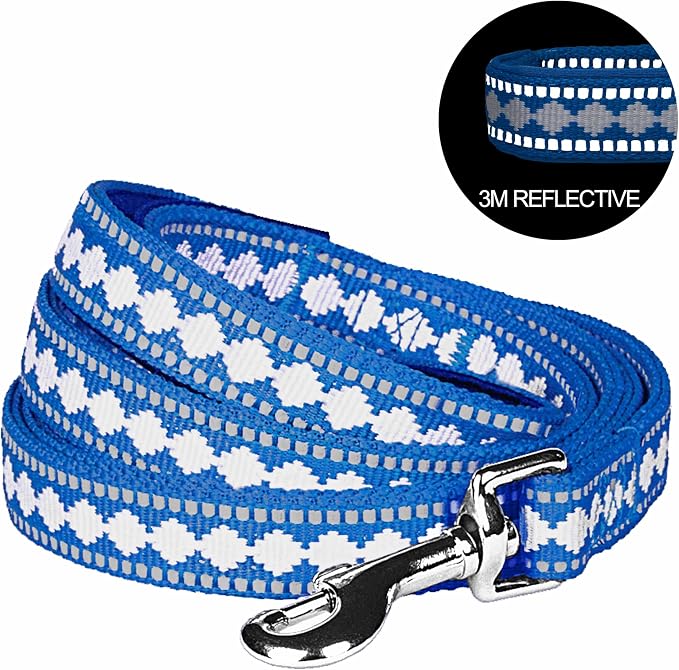 Blueberry Pet 3M Reflective Jacquard Dog Leash with Soft & Comfortable Handle, 5 ft x 3/4", Palace Blue, Medium, Leashes for Dogs