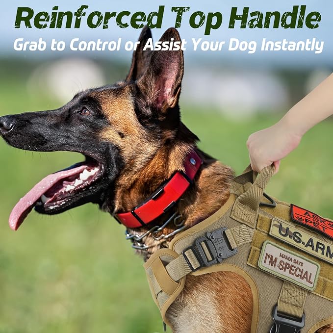 rabbitgoo Tactical Dog Harness for Small, Heavy Duty Military No Pull Vest | Sturdy Metal Buckles, 5 Adjustments, Molle System, Powerful Pullers for Training, Hunting, Outdoor, Brown, Small