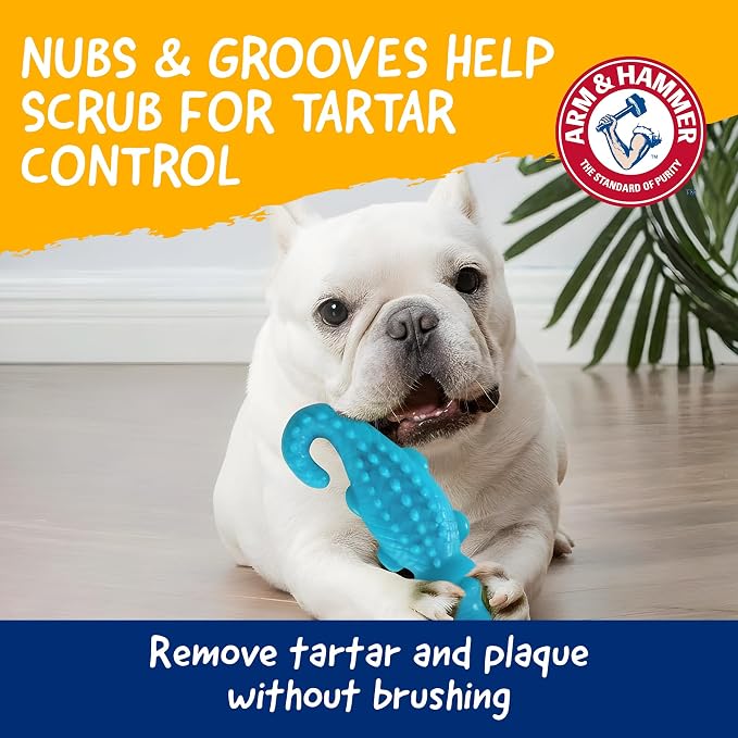 Arm & Hammer Nubbies Gator Dog Dental Chew Toy, Mint Flavor, 2-Pack | Baking soda infused, scrubbing grooves reduce plaque and tartar, no stuffing, for moderate chewers daily