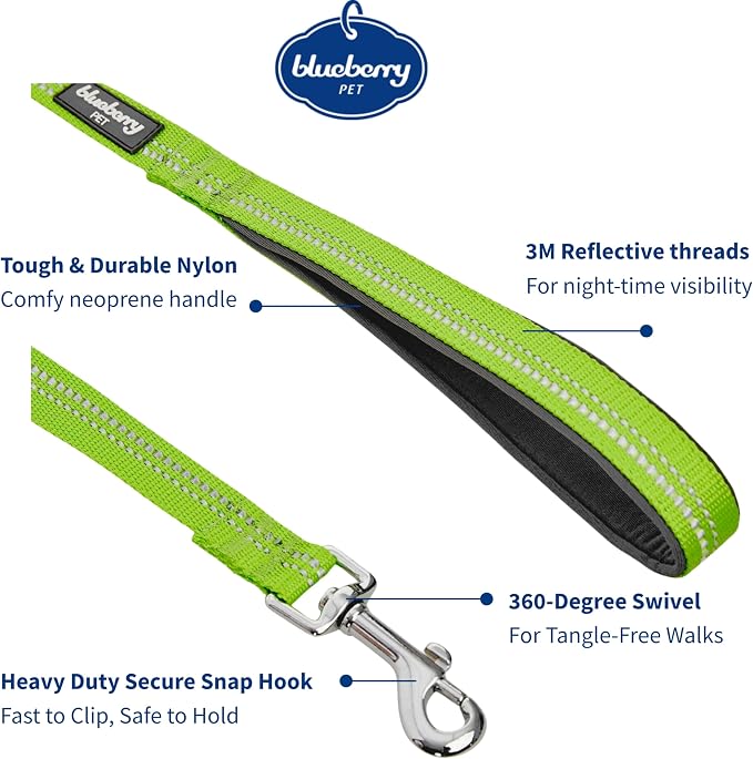 Blueberry Pet 3M Reflective Pastel Color Dog Leash with Soft & Comfortable Handle, 5 ft x 3/4", Green Flash, Medium, Leashes for Dogs