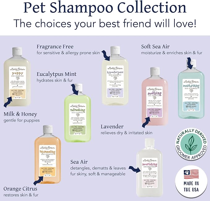 Bobbi Panter Hypoallergenic Dog Shampoo Honey, Aloe Vera, Chamomile & Rosemary – Dye & Fragrance Free Natural Formula for Sensitive & Allergy Skin, Tear-Free, 30:1 Concentrate, 14 oz (Case of 12)