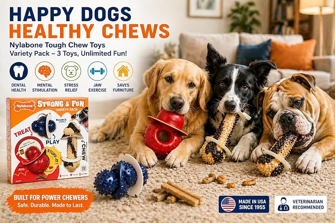 Nylabone Tough Dog Chew Variety Pack, 3 Count | Long-lasting nylon satisfies aggressive chewers, promotes dental health, reduces destructive behavior,vet-recommended