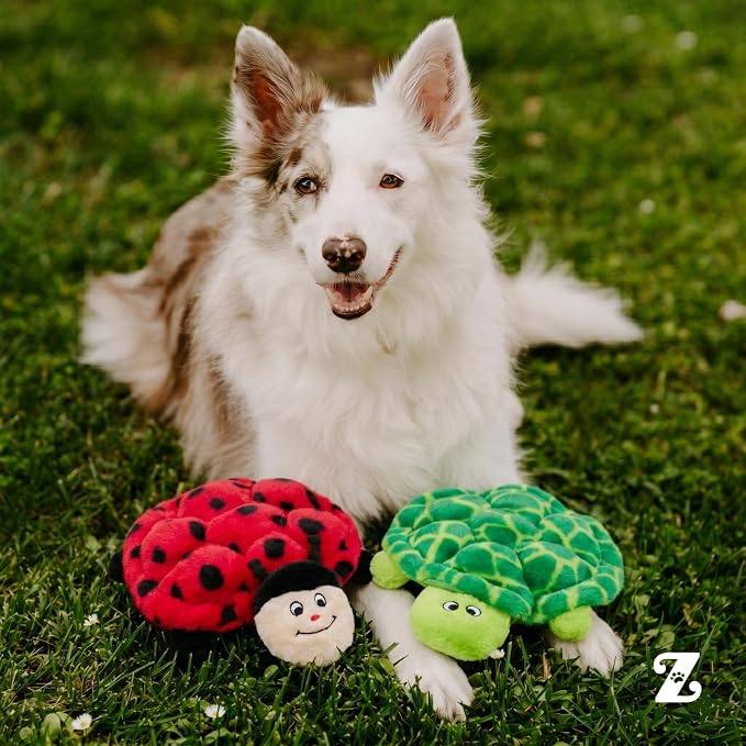 ZippyPaws Squeakie Crawlers for Small, Medium, & Large Dogs - 2 Pack, 10" | No Stuffing Dog Toys to Keep Them Busy, Squeaky Pet Toy for Boredom, Unstuffed Chew Toy, Puppy Products, Turtle & Ladybug