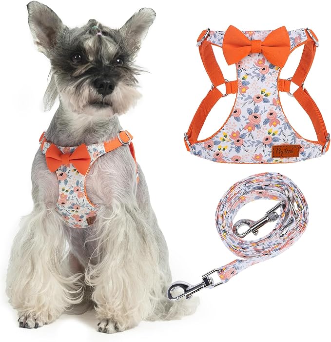 PUPTECK Dog Harness and Leash Set Small Sized, Lightweight Step-in Puppy Harness, Escape Proof No Pull Cute Pet Vest Harnesses, Flower Orange M