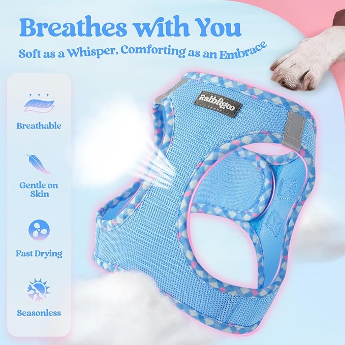 rabbitgoo Dog Harness Small Sized and Leash Set, Step-in Puppy Pet Vest | Light, Soft, Breathable Air Mesh, Easy on and Remove with Hook & Loop, Secure Reflective for Walking, Blue & Plaid Trim S