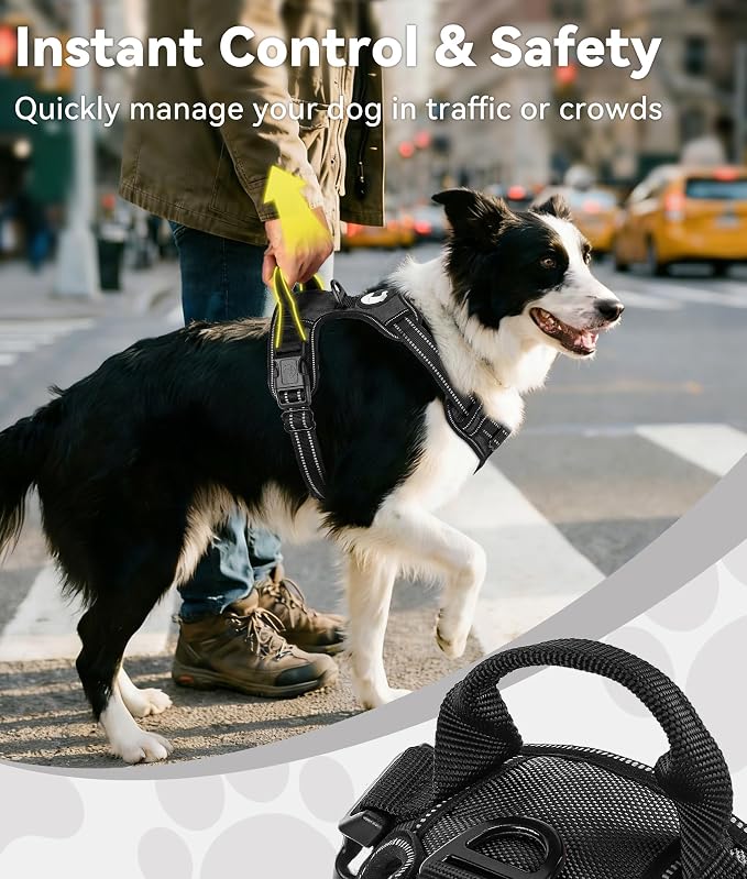 Joytale No Pull Dog Harness for Large Dogs, Front Clip, Black | Grab Handle for Instant Control, Padded & Adjustable Vest, Sturdy Metal D-Rings, for Safe Training & Daily Walking