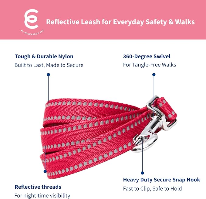 Blueberry Pet Matching Reflective Harness and Leash Set | Adjustable Pastel Vest with Lead for Dogs – Great Value Gift Set | Adjustable Very Berry Vest for Medium Breeds