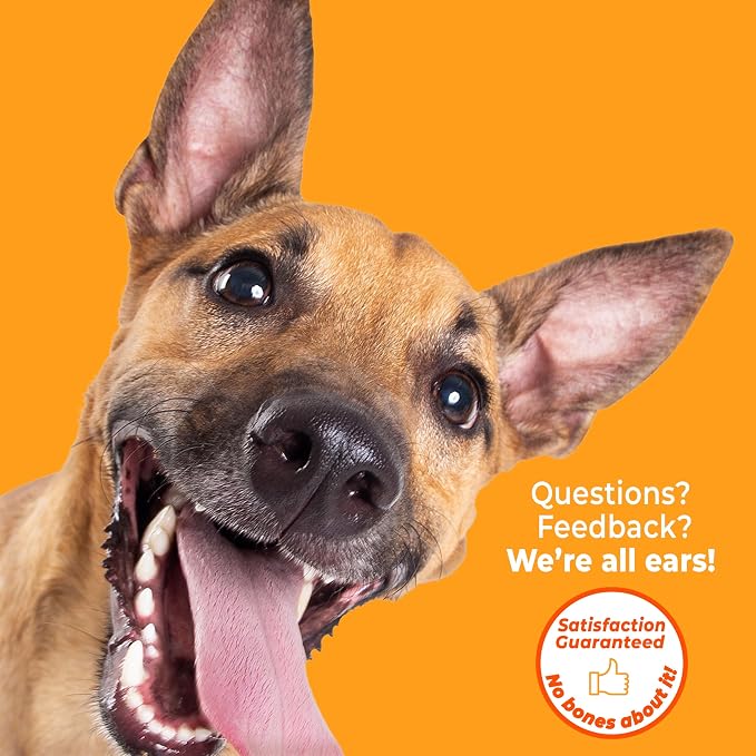 Nylabone PRO Action Dental Bone Power Chew Toy for Dogs, Dog Toys for Aggressive Chewers, Bacon Flavor, Medium - Up to 35 lbs, 1 Count