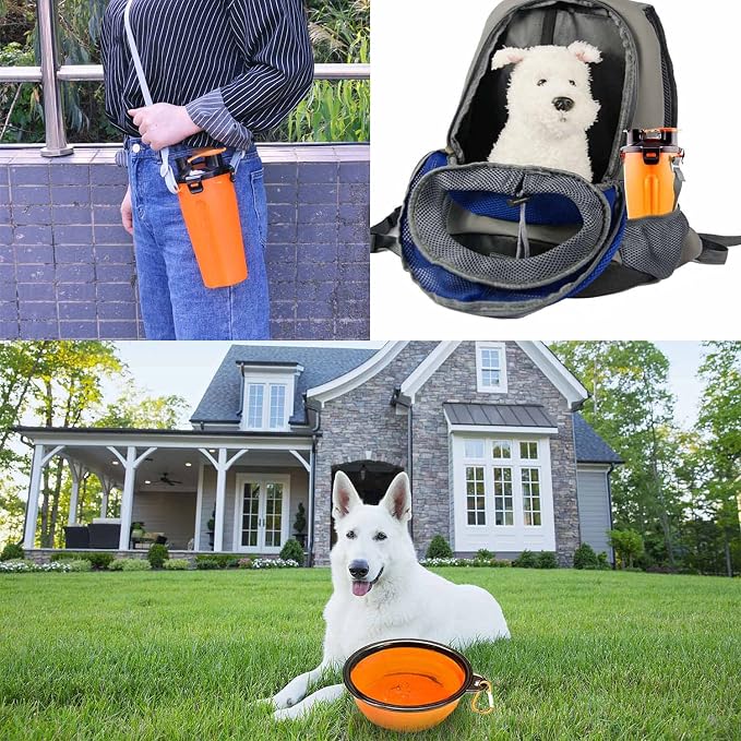 Dog Travel Water Bottle, 2-in-1 with Collapsible Bowl, Orange