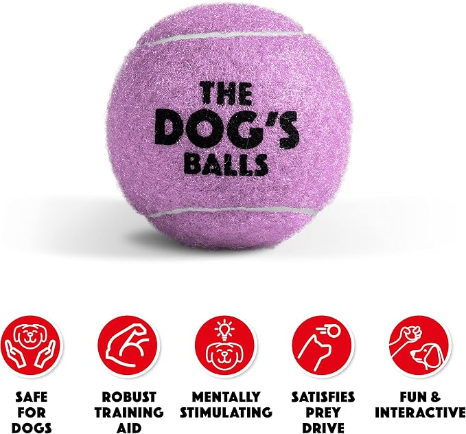 The Little Dog’s Balls Small Dog Tennis Balls 6-Pack Purple Floats in Water | Our fetch balls combine non-abrasive felt exterior and a thicker rubber core Durable Dog Toy for Outdoor Play & Training