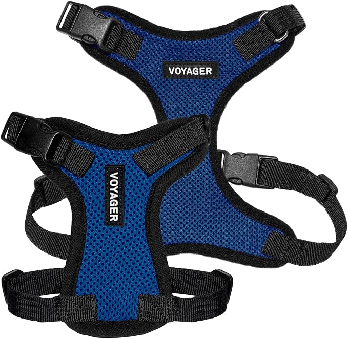 Voyager Step-in Lock Dog Harness - Royal Blue/Black Trim, Medium | 17 - 21" in Chest, Adjustable, Breathable Air Mesh, Lightweight for Daily Walks, Strong Clips, Heavy Duty D-Ring