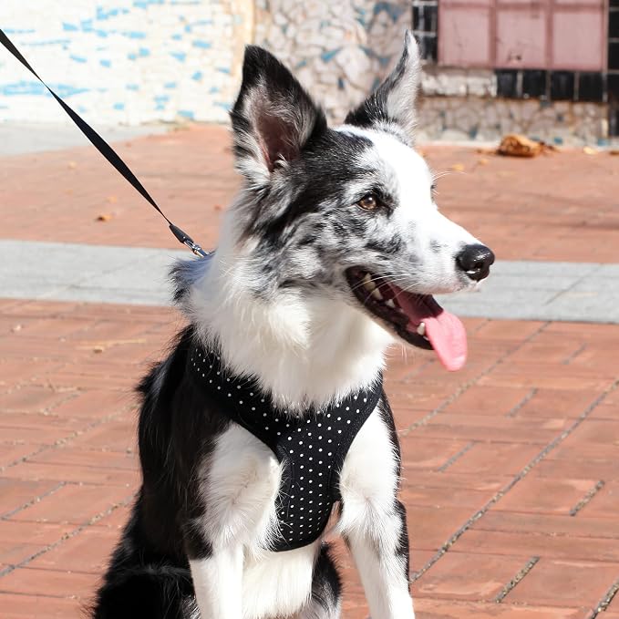 Puppia Dotty Dog Harness Over-the-Head No Pull No Choke Walking Training Adjustable for Small & Medium Dog, Large, Black