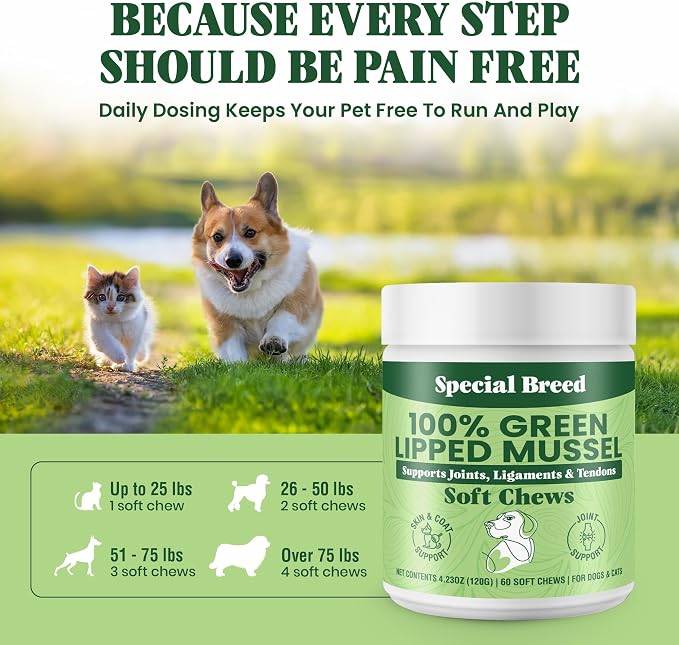 Special Breed Green Lipped Mussel for Dogs & Cats - 60 Soft Chews - New Zealand Green Lipped Mussels - Natural Hip & Joint Supplement for Joints, Tendons, Ligaments, Muscles
