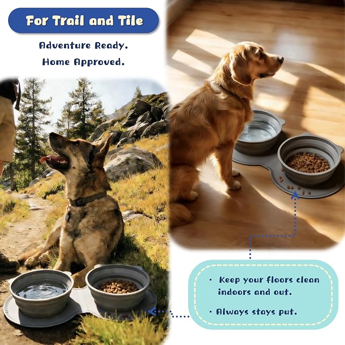 Premium Silicone Collapsible Dog Bowl with Carabiner Clip, 2-in-1