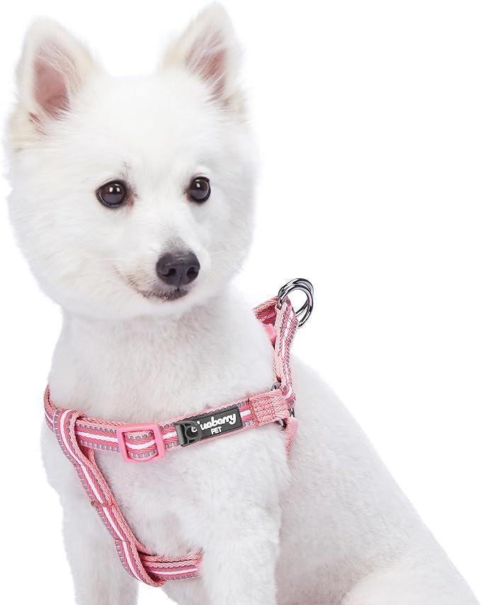 Blueberry Pet 5 Colors Step-in 3M Reflective Multi-Colored Stripe Padded Dog Harness, Chest Girth 20" - 26", Pink & White, Medium, Adjustable Harnesses for Dogs