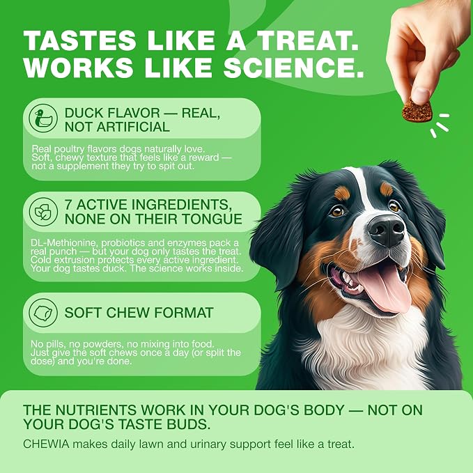 Dog Urine Neutralizer Chews – Grass Saver for Lawn & Green Grass