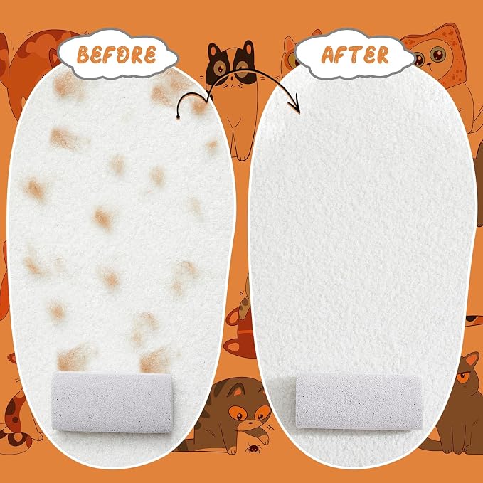 Abbylike 6 Pcs Pet Hair Remover Pumice Stone Reusable Portable Dog Cat Hair Removal Tool Scraper for Carpet,Couch, Bedding, Car Upholstery, Furniture Cleaning (3.74 x 1.97 x 1.38 Inch,Gray)