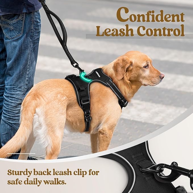 rabbitgoo Dog Harness, No Pull for Large Dogs with 2 Leash Clips, Pet Vest | No Choke with Handle, Adjustable Soft Padded, Reflective, Easy Control for Walking, Black, Large