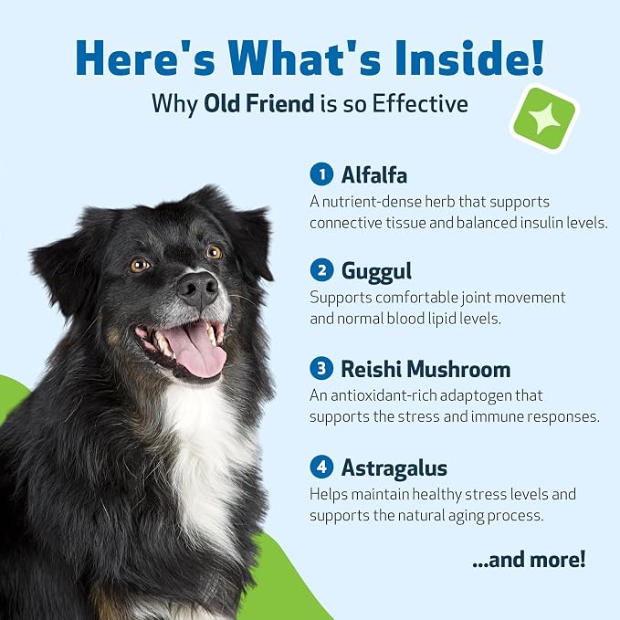 Pet Wellbeing Old Friend for Dogs - Senior Immune & Cognitive, 4 oz